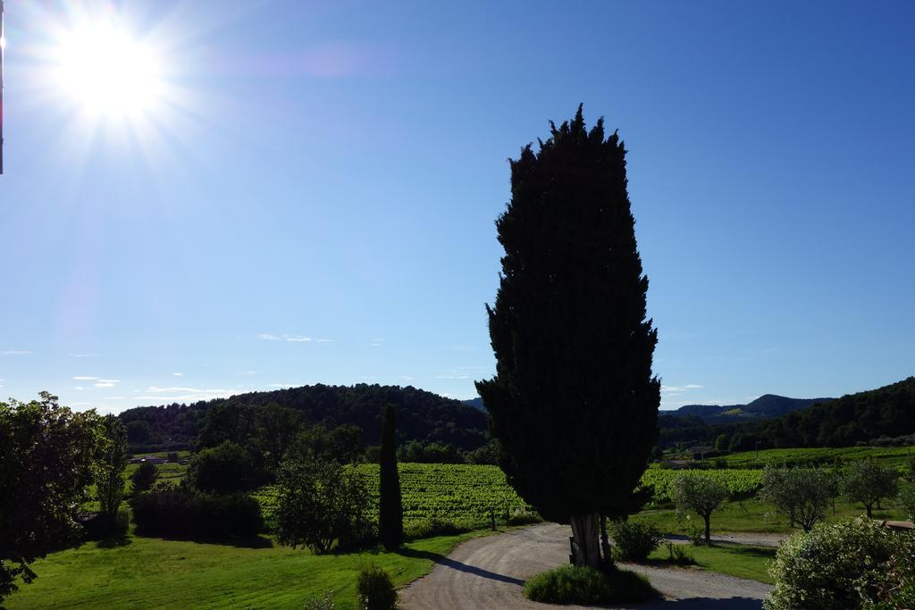 Bed and Breakfast Le Mas En Provence Entrechaux Exterior foto