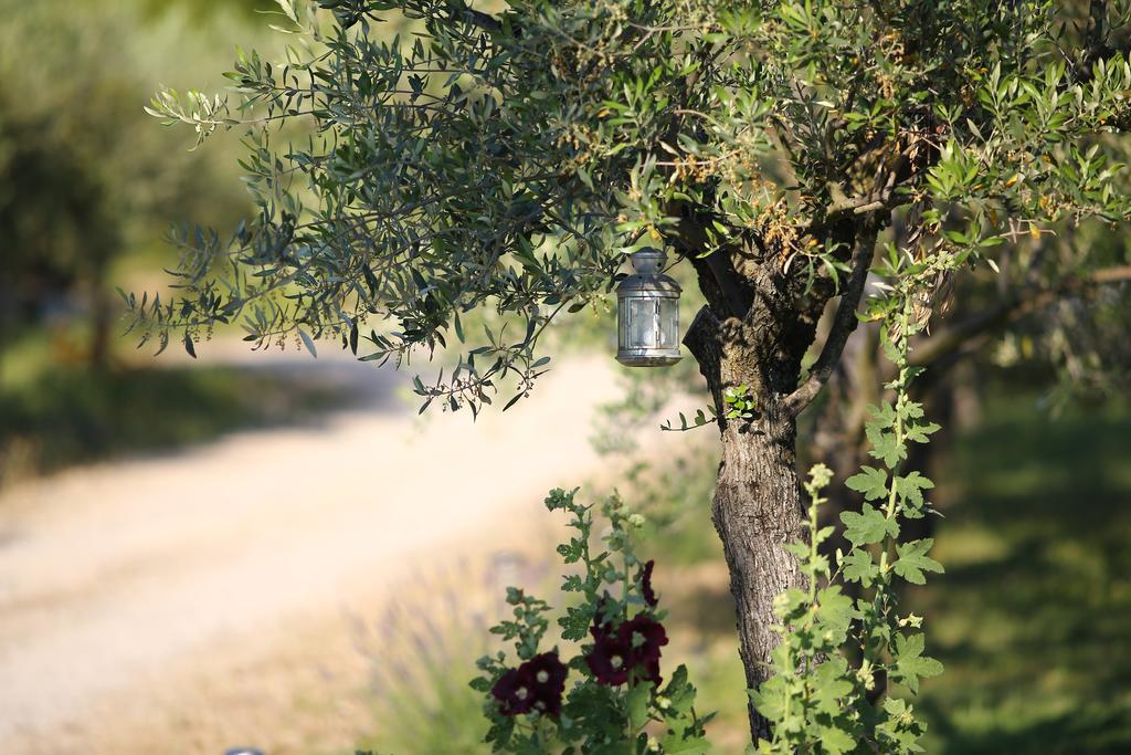 Bed and Breakfast Le Mas En Provence Entrechaux Exterior foto